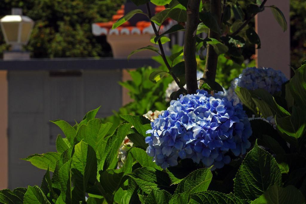 Casa Os Manos Guest House ซานตานา ภายนอก รูปภาพ